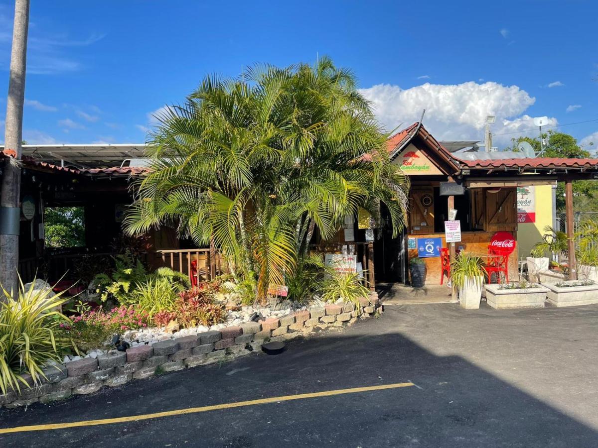 Red Flamboyan Guesthouse And Restaurant Rincon Exterior photo
